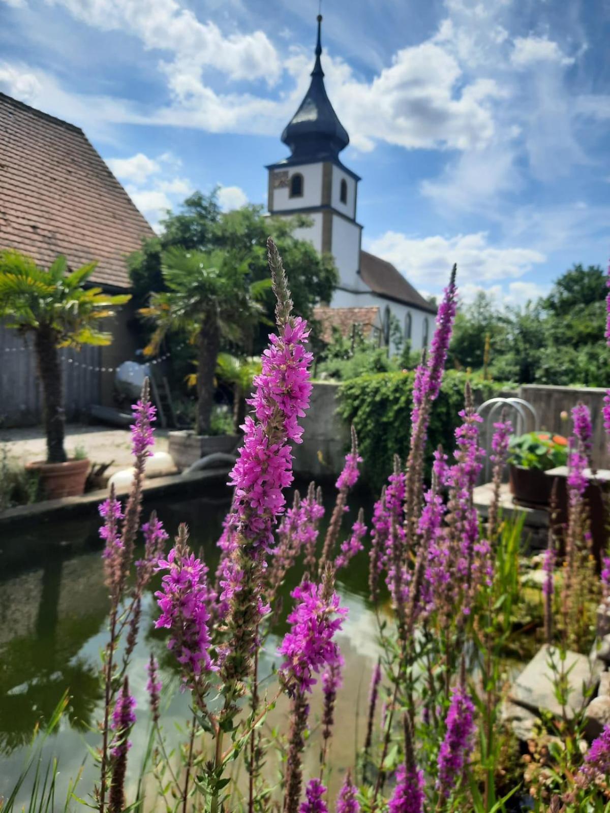 Spatzennest Und Rabennest Sugenheim 外观 照片